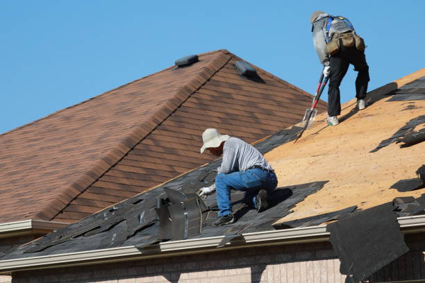Best Skylight Installation and Repair  in , IA