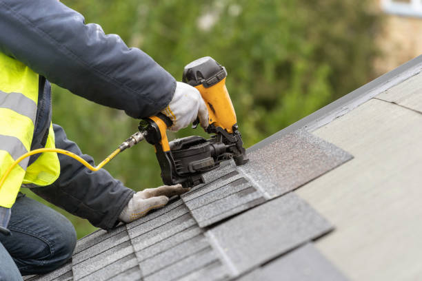 Best Green or Eco-Friendly Roofing Solutions  in , IA