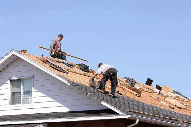 Best Roof Installation  in , IA